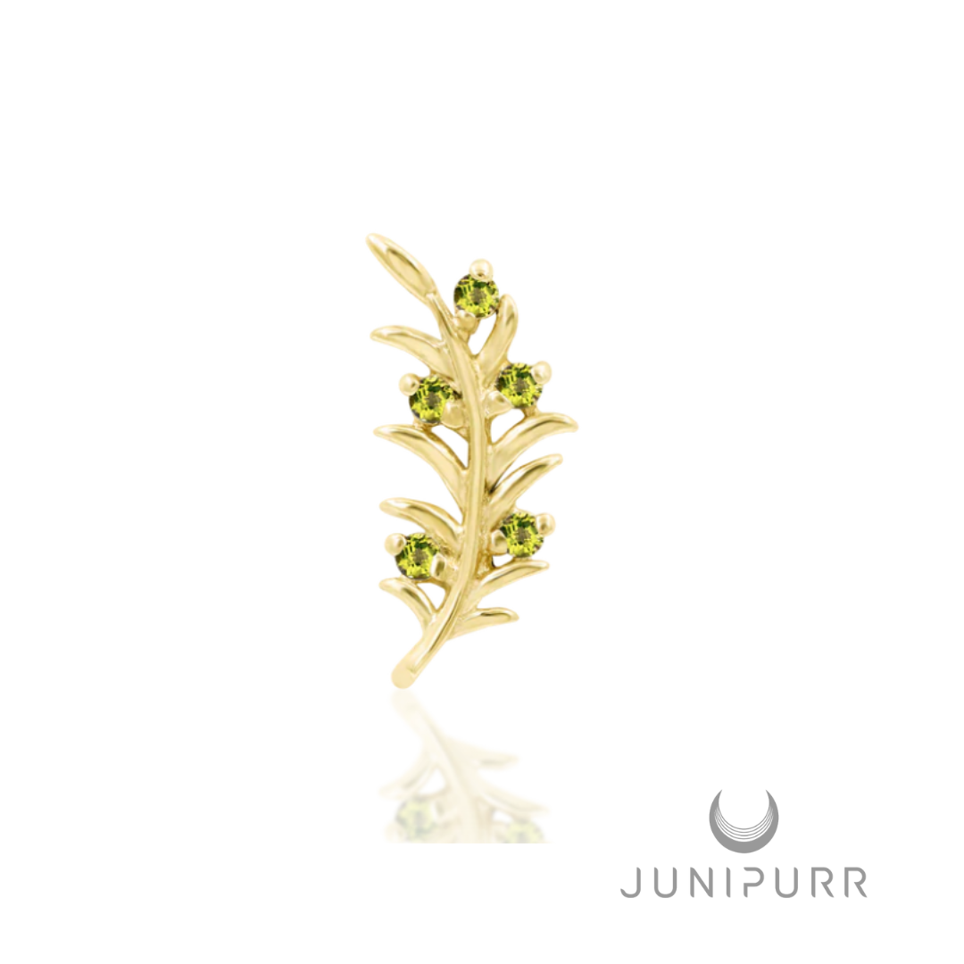 Junipurr Olive Branch Frontal