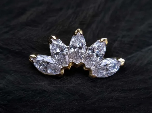Tremun Marquise 5 Frontal