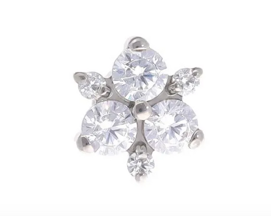 Malorie Titanium Gem End