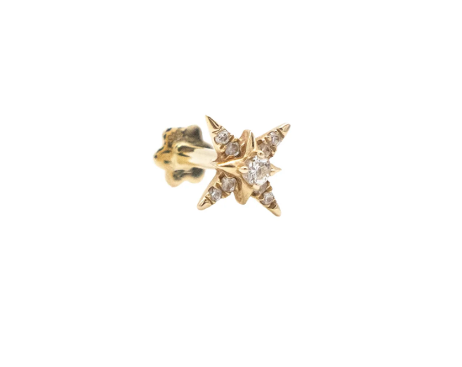The Wild Jewels Star Diamond