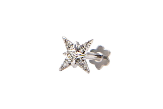 The Wild Jewels Star Diamond