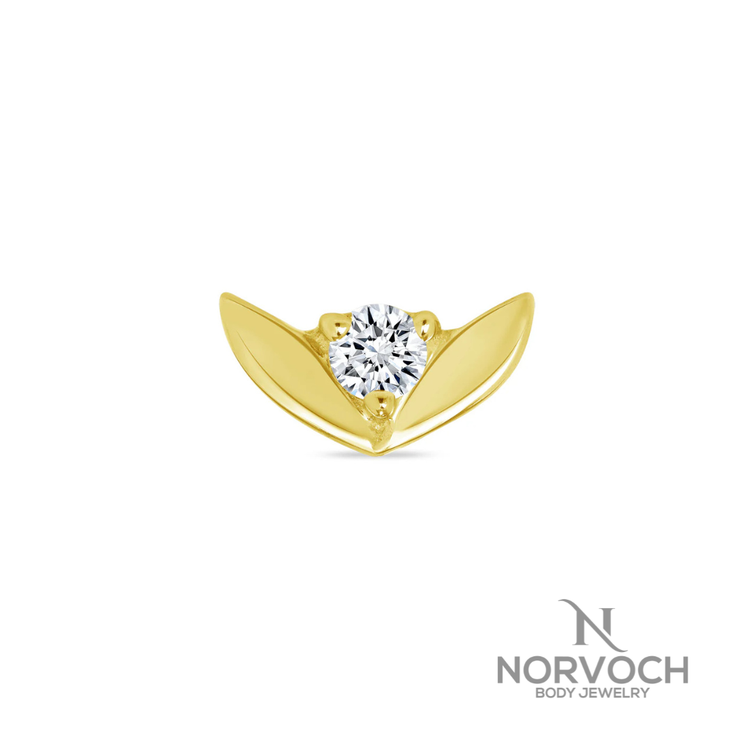 Norvoch Tulip End