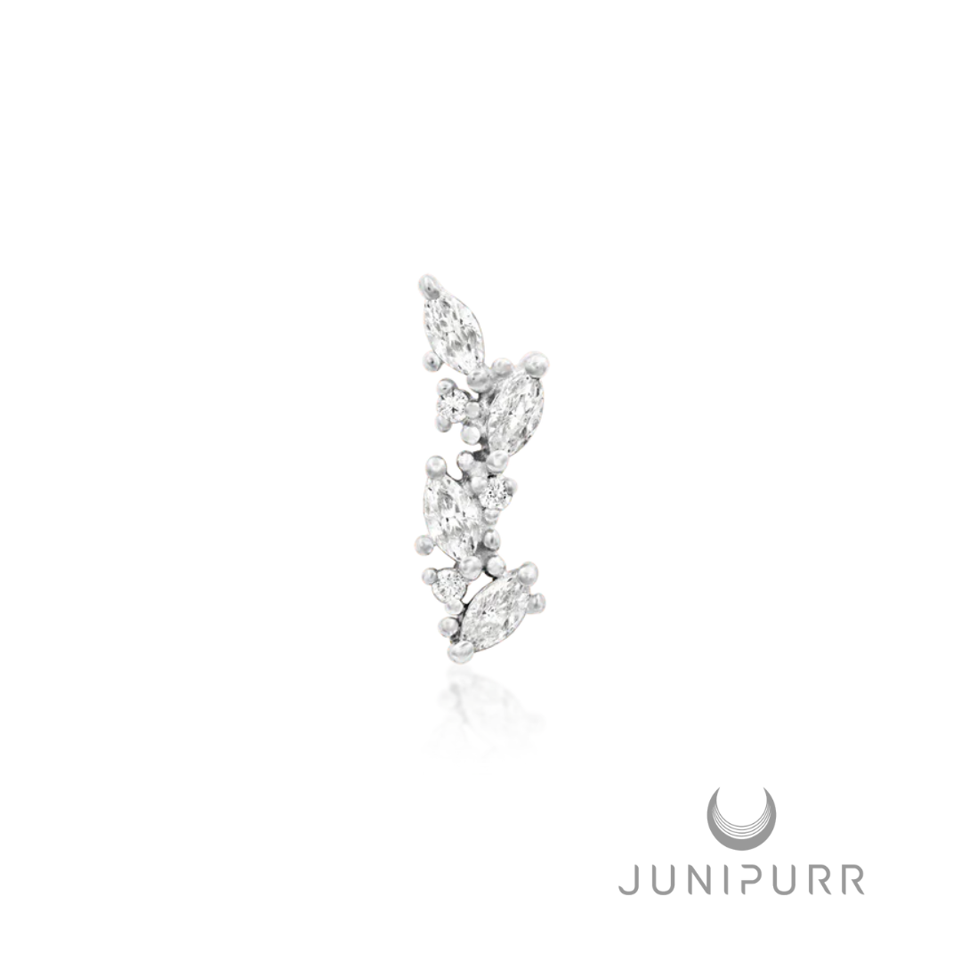 Junipurr Andreia End