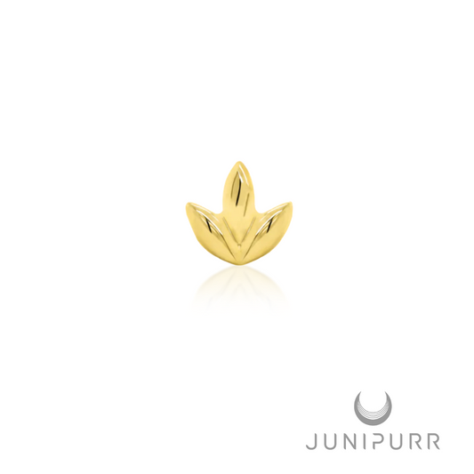 Junipurr Dr. Bloom End