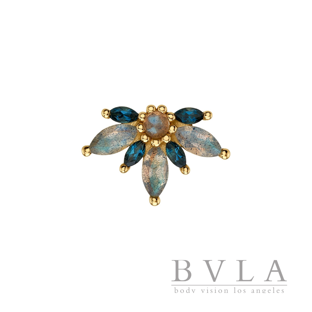 BVLA Starling Frontal