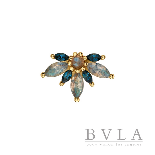 BVLA Starling Frontal