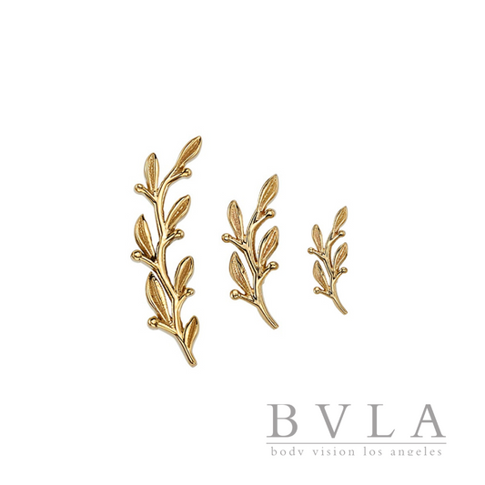 BVLA AmitY End