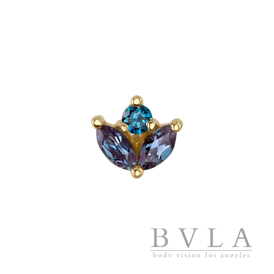BVLA Bloom Frontal