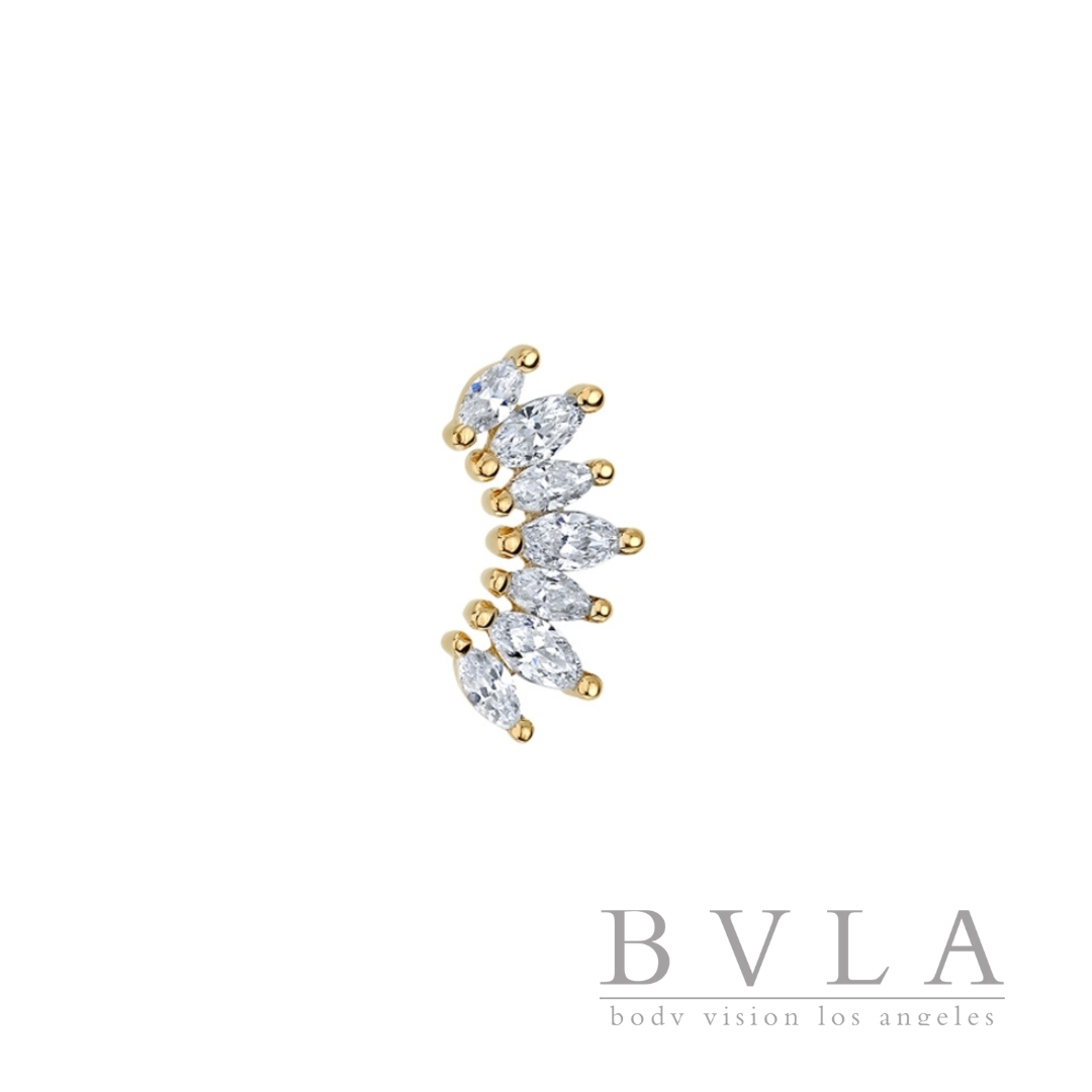 BVLA Tiny Athena Frontal