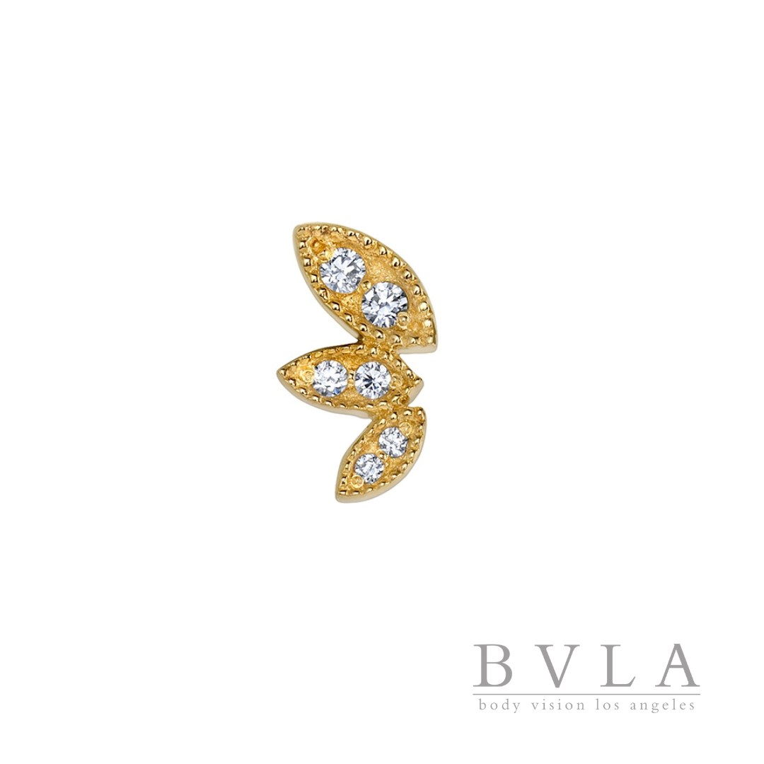 BVLA Jess's Kiss End