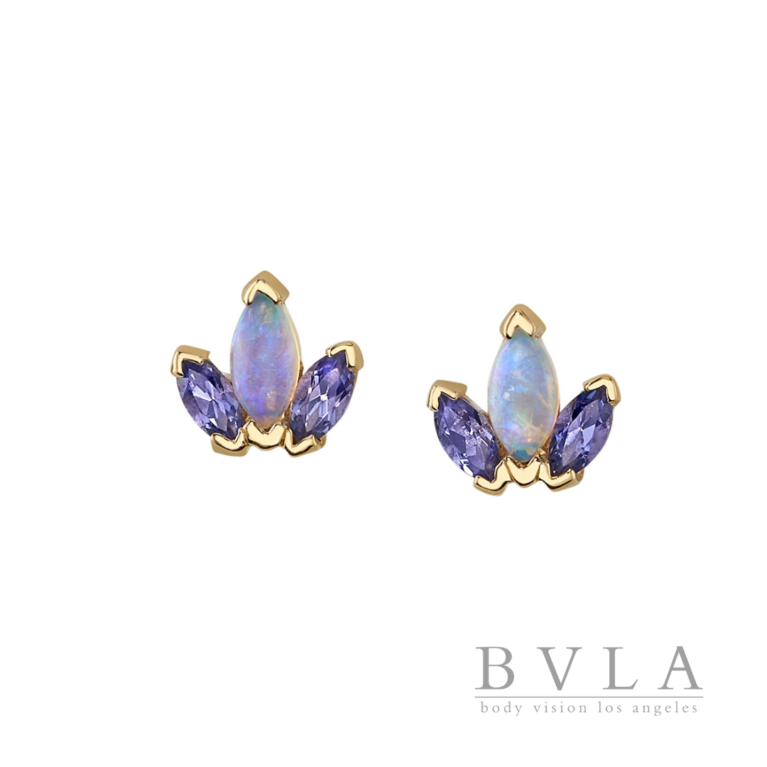 BVLA Mini AJ End