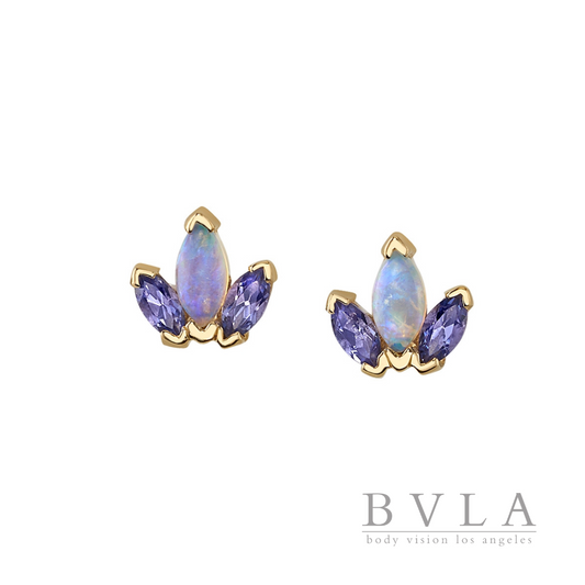 BVLA Mini AJ End