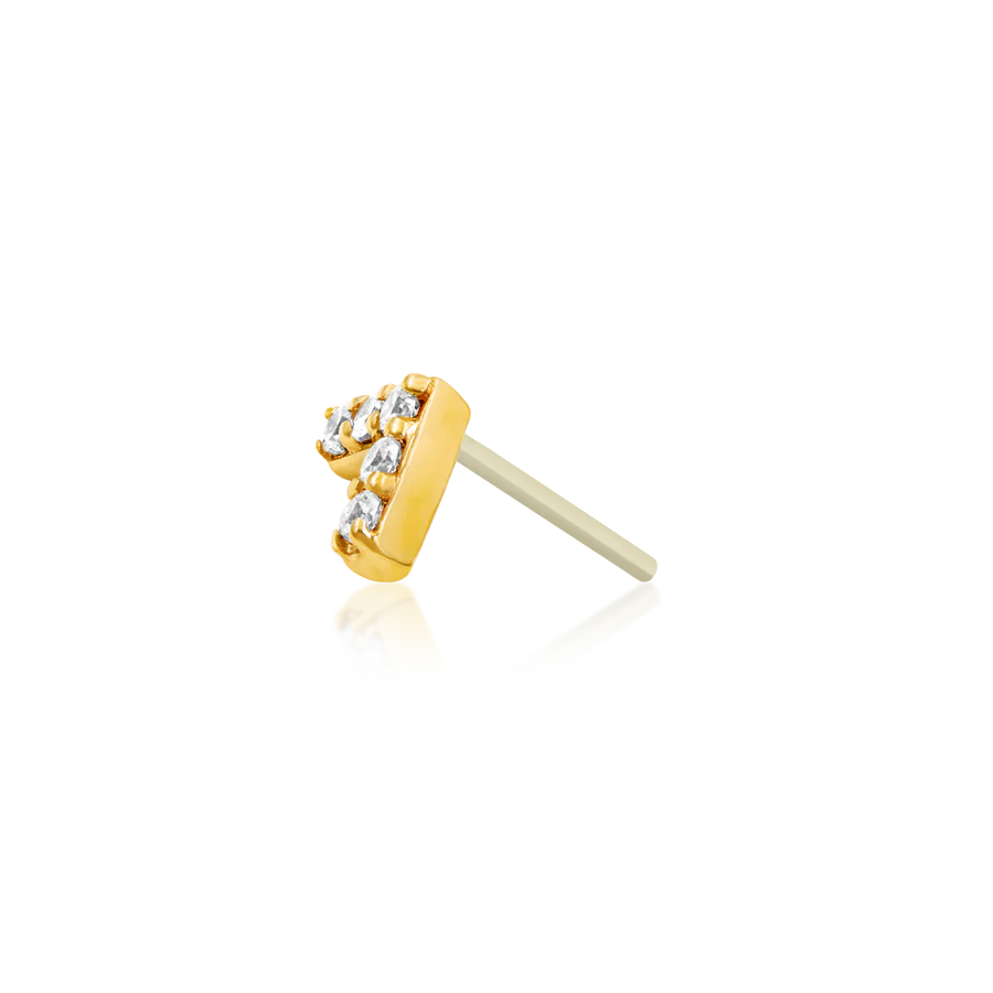 Junipurr Chevron CZ