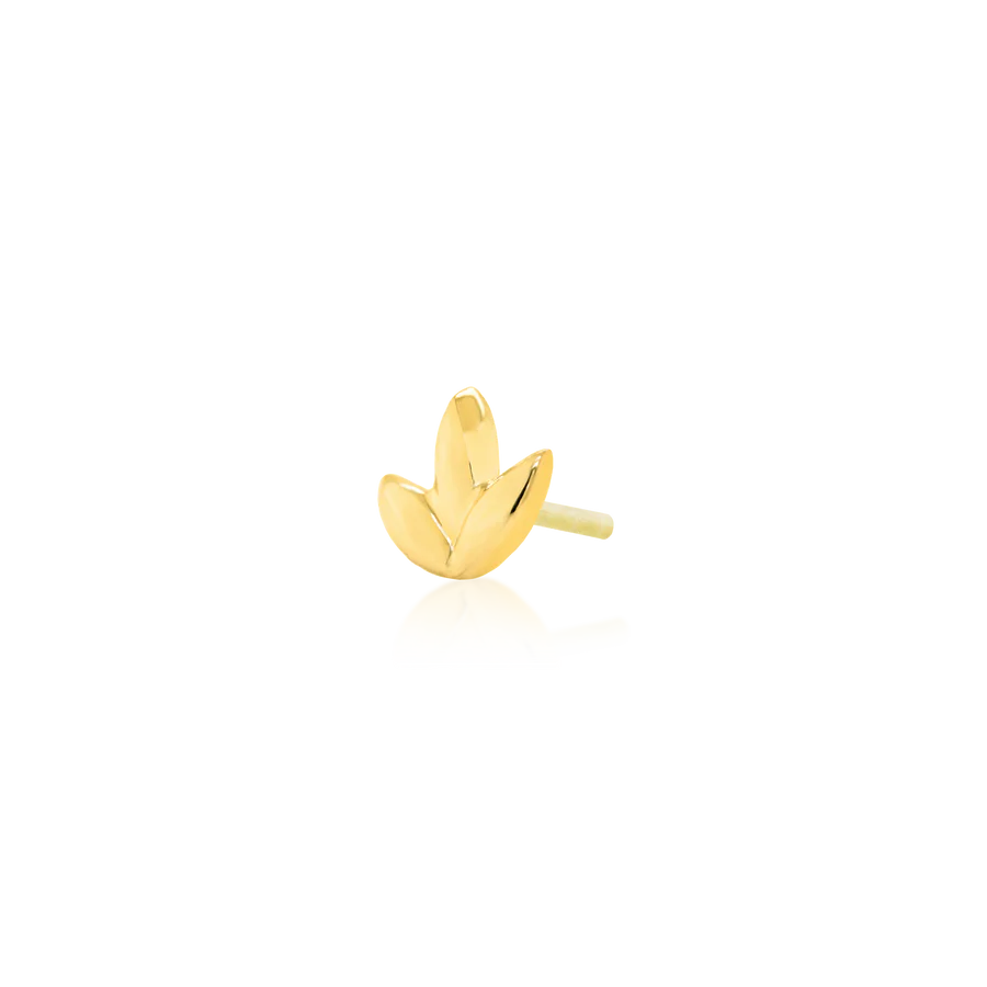 Junipurr Dr. Bloom End