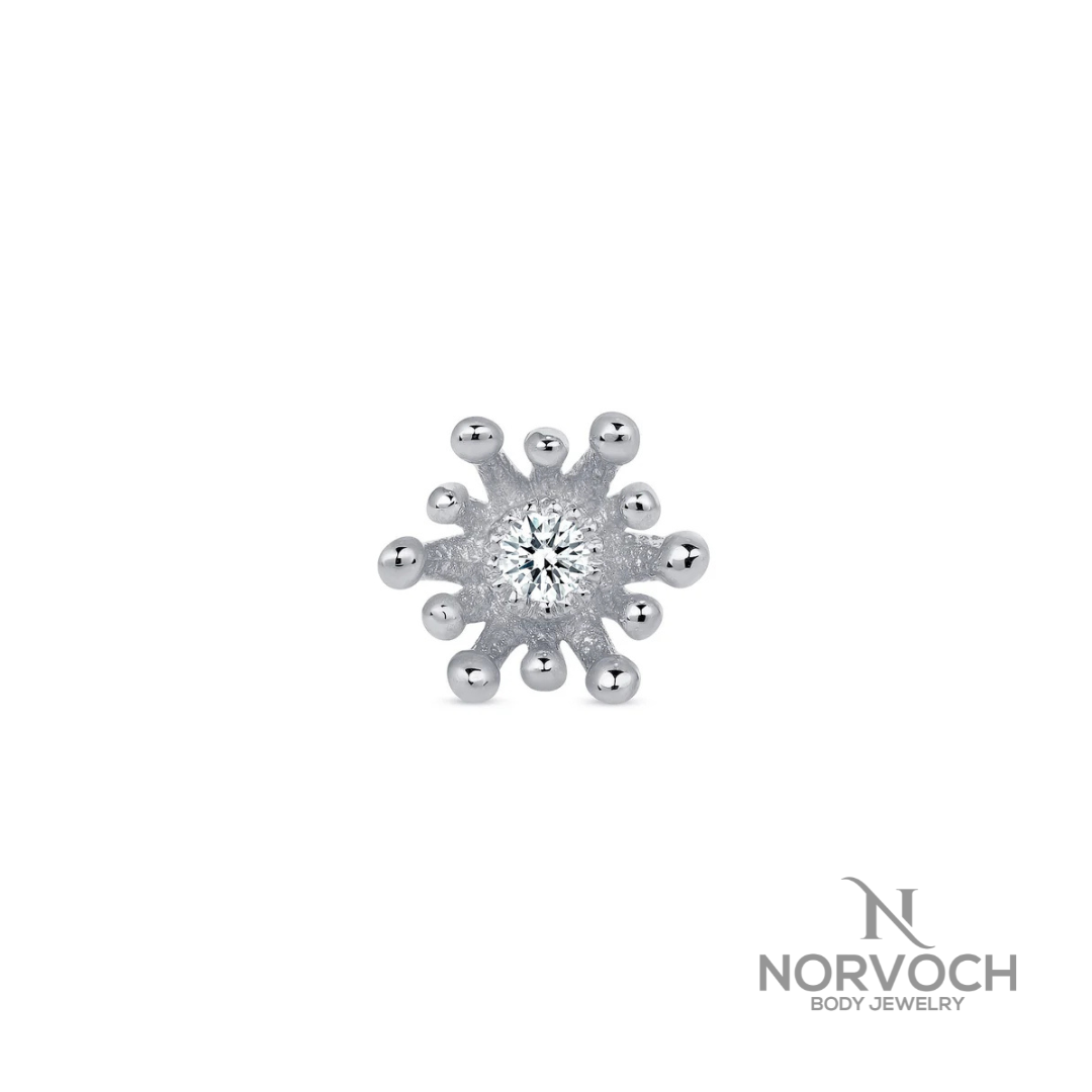 Norvoch Fire Star Frontal
