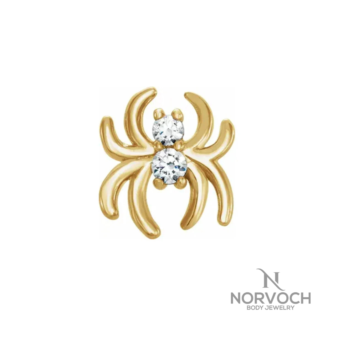Norvoch Spider End