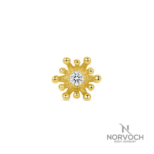 Norvoch Fire Star Frontal