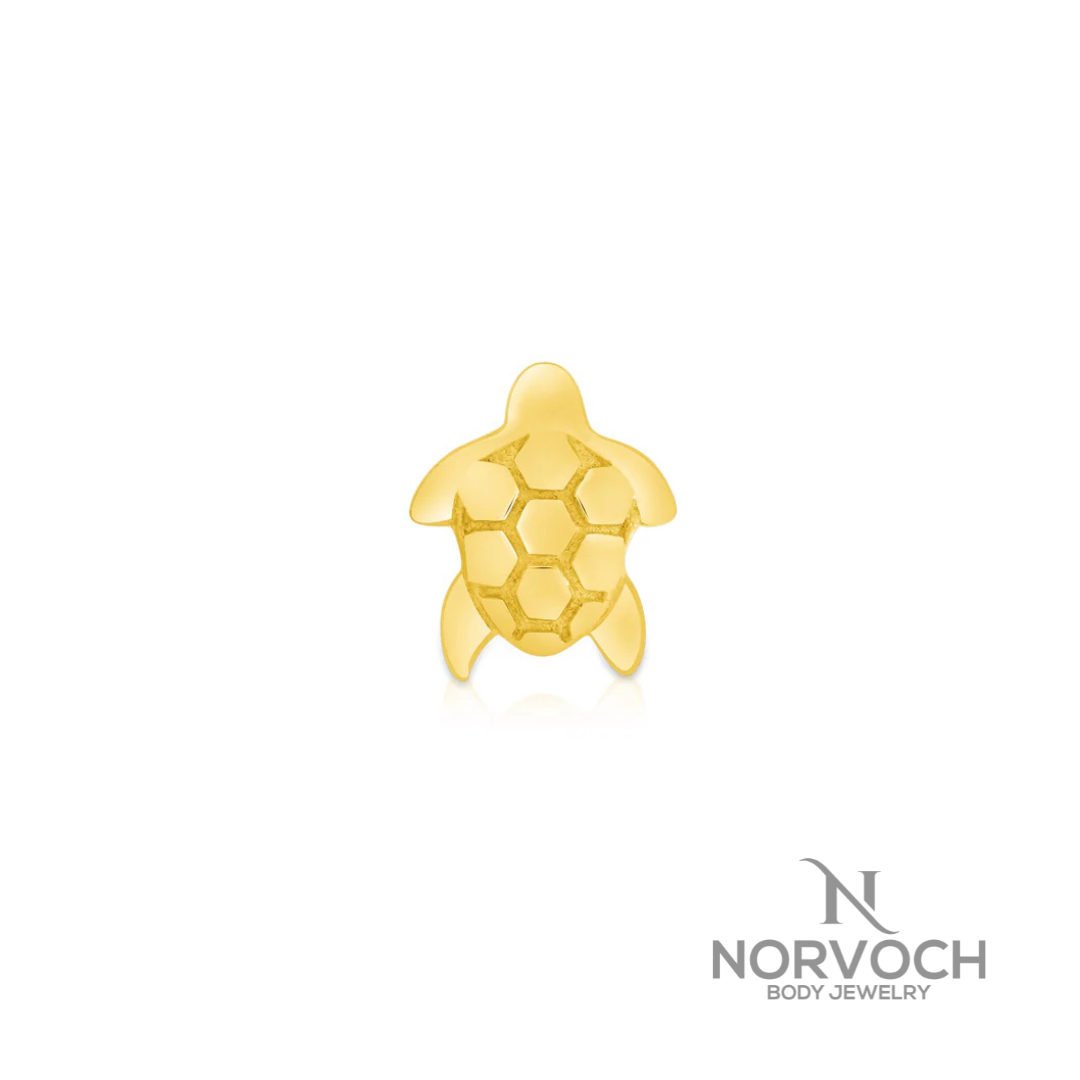 Norvoch Sea Turtle End